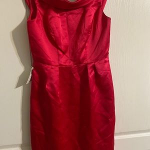 Fuchsia Dressy Dress